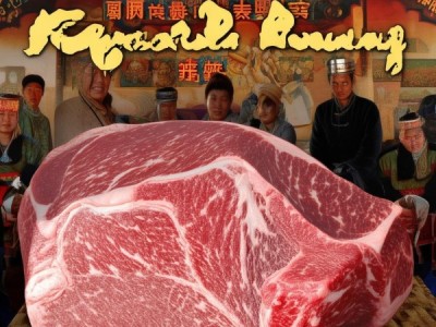 科尔沁肥牛肉，DB15/T 952-2024标准下的地标产品风采与传承保护