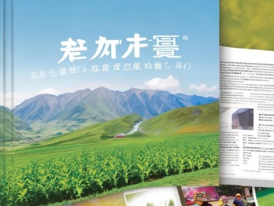 DB62/T 4762-2023藜麦高原栽培技术规程解析与应用手册