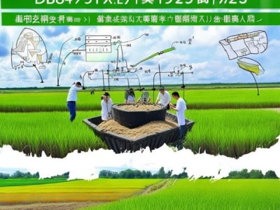 水稻大钵体毯状苗育秧技术规程DB36/T 1795-2023解读与应用