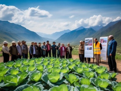 高原大白菜自交不亲和小株制种技术规程发布，推动高原农业科技创新