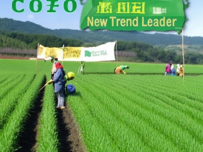 DB13/T 781-2006 裸燕麦有机栽培技术规程，绿色健康新风尚引领者