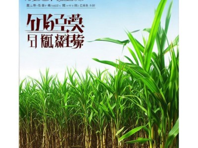 DB34/T 2541-2015 果蔗栽培技术规程，高产高品质果蔗种植必备手册