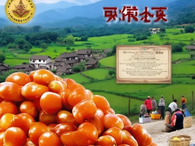 镇安板栗荣获地理标志产品认证，助力乡村振兴新篇章