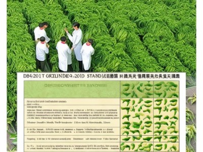 DB46/T 209-2011标准深度解析，绿色食品青黄皮尖椒生产技术规程
