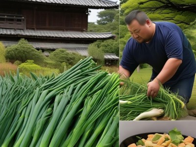 寺郎腰大葱，DB41/T 1682-2018 地理标志，地域美味中的传承与创新
