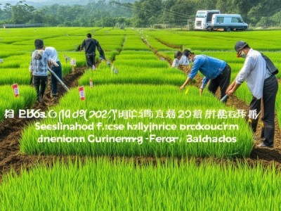 富硒水稻生产关键技术规程DB36/T 1112-2019深度解析