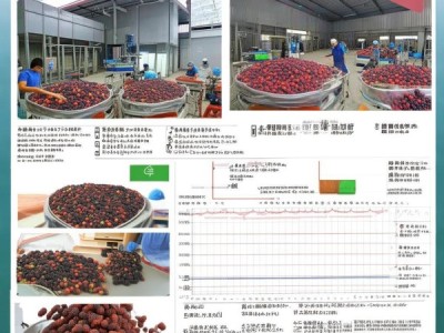 桑葚贮运保鲜规程DB21/T 3800-2023解读及实际应用探讨