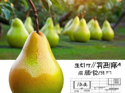 玉露香梨气候品质评价新标准，DB14/T 3172-2024 研究与应用解析