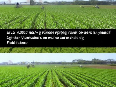 DB65/T 2702-2007标准指导下的无公害玉米复播技术解析与应用