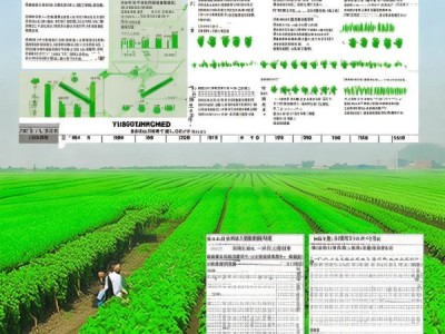 DB22/T 1870-2013 费菜无公害生产技术规程解析与应用