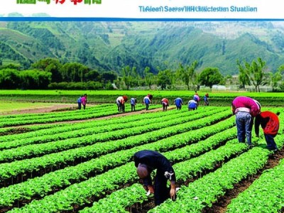 陇南芸豆绿色生产技术规程实践与推广，遵循DB62/T 1658-2007标准