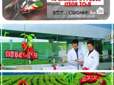 DB62/T 1078-2003规程在掖市保护地辣椒无公害生产中的应用研究