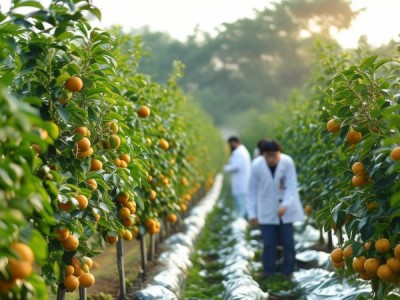白银市绿色食品生产技术规程在小口枣种植中的应用与优化探讨