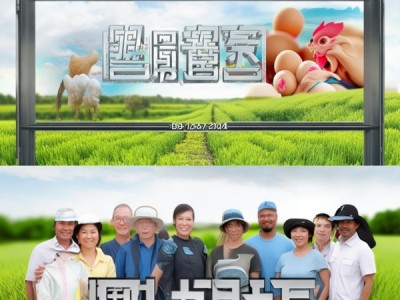 DB14/T 1667-2024，蛋鸡兽药保健新规程，推动行业迈向健康养殖新时代