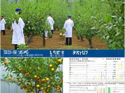 DB32/T 1116-2007标准指导下的蟠桃种植与品质提升研究