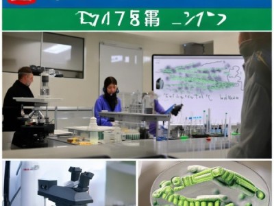 DB45/T 887-2012标准饲料中粪链球菌检测与应用研究