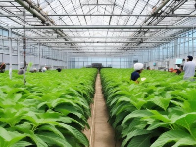 DB65/T 3630-2014标准指导下的有机种植设施农业烟粉蚤综合防控策略