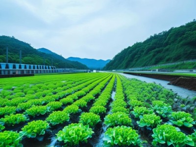 湟水河流域水生植物栽培技术规程,生态保护与经济发展双赢新篇章