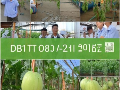 富硒冬瓜生产技术规程DB43/T 1089-2015深度解析与推广应用