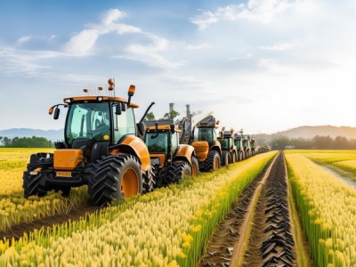 DB13/T 5700-2023 谷子全程机械化生产技术规程深度解析与推广实践