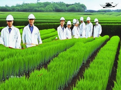 百农418小麦科学种植规程引领高产稳产新纪元