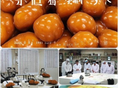 DB46/T 395-2016标准指导下的胖大海质量评价与种植技术规范研究