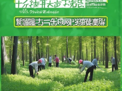 GB/T 41552-2022 三七林下生态种植技术规程，引领绿色农业发展新里程