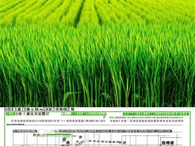 宿迁籼米地理标志产品种植技术规程解读与DB3213/T 1067.1-2024标准解析