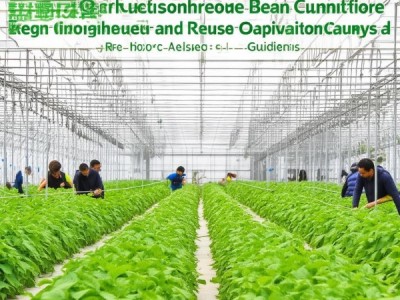 DB64/T 1591-2019 绿色食品日光温室菜豆栽培技术规程深度解析与应用指导