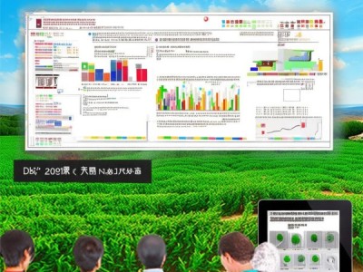 全面解读DB13/T 446-2001 花椒标准，助力花椒产业迈向高质量
