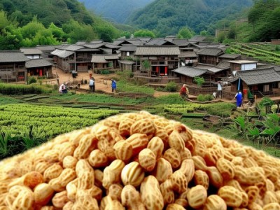 傅家花生，DB21/T 1731-2009标准下的地理标志传承与创新之路