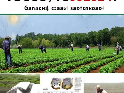 荷兰豆露地种植技术规范DB63/T 399-2024解析与应用