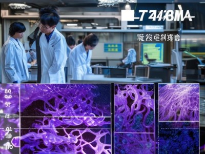 GB/T 21046-2007标准视角下条斑紫菜质量检测与产业升级研究