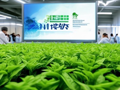 DB32/T 1675-2024甜菊生产技术规程发布，推动甜菊产业迈向高质量发展新阶段