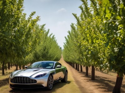 绿色种植新标杆，DB11/T 434-2007 核桃无公害生产技术引领产业革新