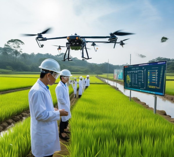沿江地区水稻病虫害防控技术规程解析与应用解析,沿江地区水稻病虫害防控技术规程解析与应用解析,2022,现代化,农业现代化,第1张