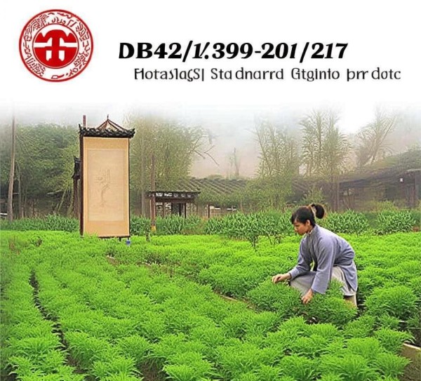 房县北柴胡，药香瑰宝的传承与创新——DB42/T 1309-2017标准下的地理标志产品,房县北柴胡，药香瑰宝的传承与创新——DB42/T 1309-2017标准下的地理标志产品,创新,地理标志,现代科技,第1张