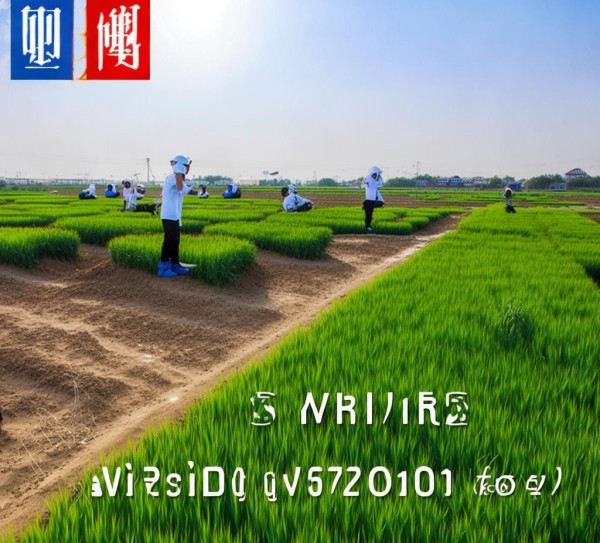 冀西北寒旱区燕麦栽培技术规程DB13/T 5637-2022 解读与应用指南,冀西北寒旱区燕麦栽培技术规程DB13/T 5637-2022 解读与应用指南,2,2022,现代化,第1张