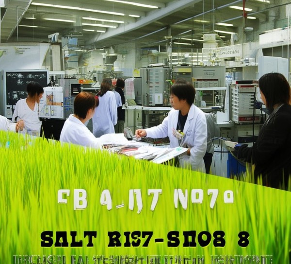 盐稻8号原种生产技术规程解析及在DB32/T 1474-2009中的应用研究,盐稻8号原种生产技术规程解析及在DB32/T 1474-2009中的应用研究,2,现代化,技术规程,第1张