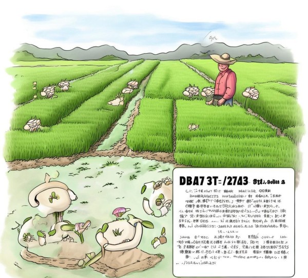 解读DB43/T 2713-2023，藠头与水稻水旱轮作栽培技术规程,解读DB43/T 2713-2023，藠头与水稻水旱轮作栽培技术规程,2,现代化,技术规程,第1张