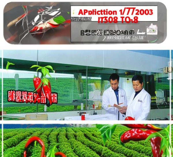 DB62/T 1078-2003规程在掖市保护地辣椒无公害生产中的应用研究,DB62/T 1078-2003规程在掖市保护地辣椒无公害生产中的应用研究,2,现代化,技术规程,第1张