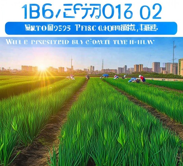 DB62/T 852-2002规程在兰州市茼蒿无公害种植中的应用与实践,DB62/T 852-2002规程在兰州市茼蒿无公害种植中的应用与实践,2,技术规程,食品安全,第1张