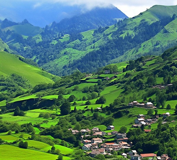 丘陵山区缓坡旱地宜机化改造技术规范解读与应用指南,丘陵山区缓坡旱地宜机化改造技术规范解读与应用指南,2,现代化,技术规范,第1张