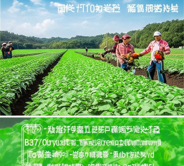 DB63/T 1070-2012标准指导下的大通鸡腿葱绿色食品露地栽培技术解析与应用,DB63/T 1070-2012标准指导下的大通鸡腿葱绿色食品露地栽培技术解析与应用,2,食品安全,技术规范,第1张