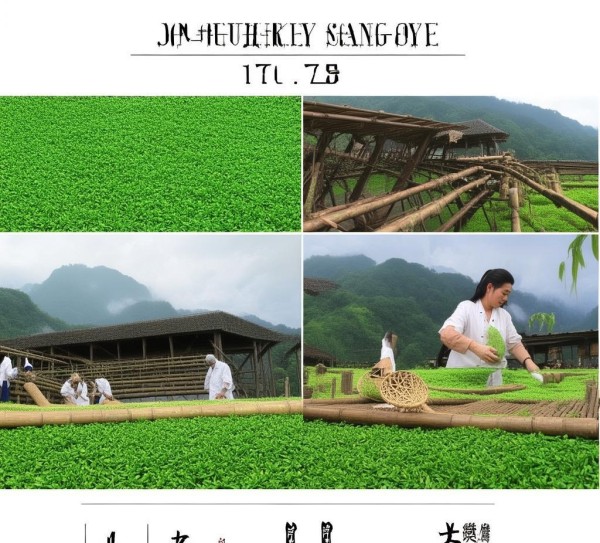 解读DB61/T 1760-2023，紧压金华桑叶茶加工技术规程,解读DB61/T 1760-2023，紧压金华桑叶茶加工技术规程,2,技术规程,创新,第1张