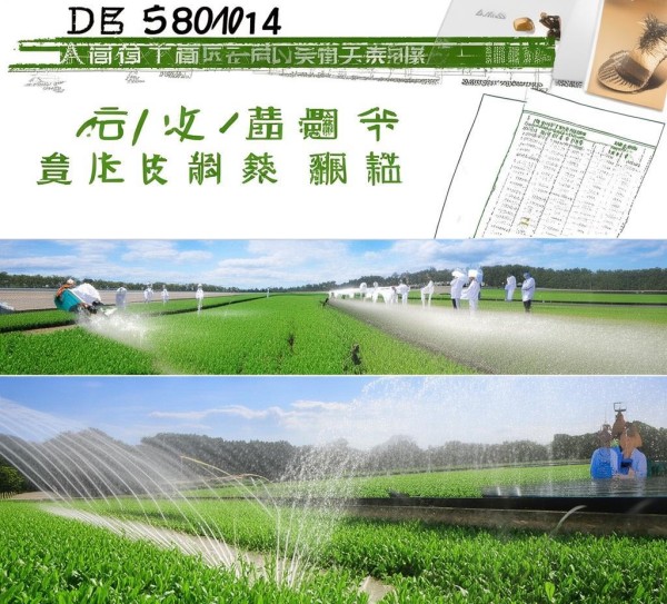 紫花苜蓿喷灌水肥管理技术规程DB15/T 680-2014 解读与应用,紫花苜蓿喷灌水肥管理技术规程DB15/T 680-2014 解读与应用,2,技术规程,现代化,第1张