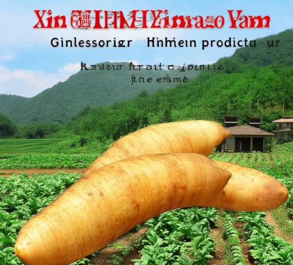 新城细毛山药，地理标志产品中的地域瑰宝传承与创新,新城细毛山药，地理标志产品中的地域瑰宝传承与创新,2,创新,消费者权益,第1张