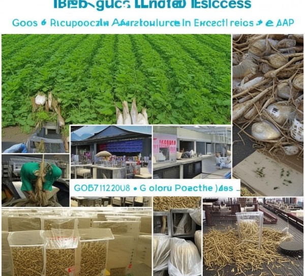 DB37/T 1056-2008 良好农业规范牛蒡出口操作全流程指南,DB37/T 1056-2008 良好农业规范牛蒡出口操作全流程指南,2,第1张