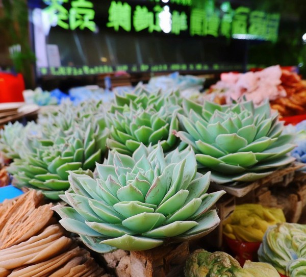 科尔沁牛肉，DB15/T 1717-2019标准下的品质与文化传承典范,科尔沁牛肉，DB15/T 1717-2019标准下的品质与文化传承典范,2,食品安全,消费者权益,第1张