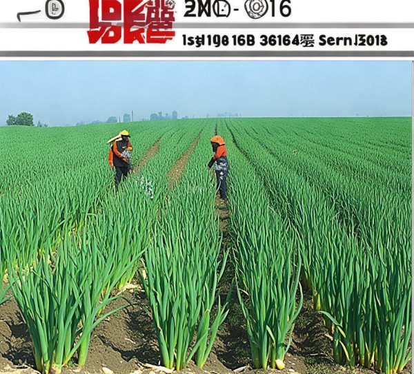 DB21/T 2645-2016，大蒜标准化种植技术规程，助力品质与产量双提升,DB21/T 2645-2016，大蒜标准化种植技术规程，助力品质与产量双提升,2,技术规程,现代化,第1张